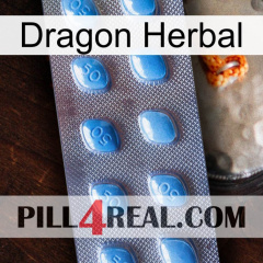 Dragon Herbal viagra3